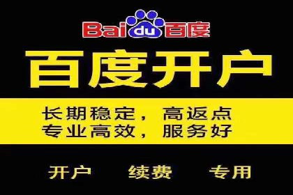 SEM推广技巧：成功案例深度剖析
